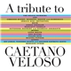 Various - A Tribute To Caetano Veloso