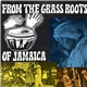 Various - From The Grass Roots Of Jamaica